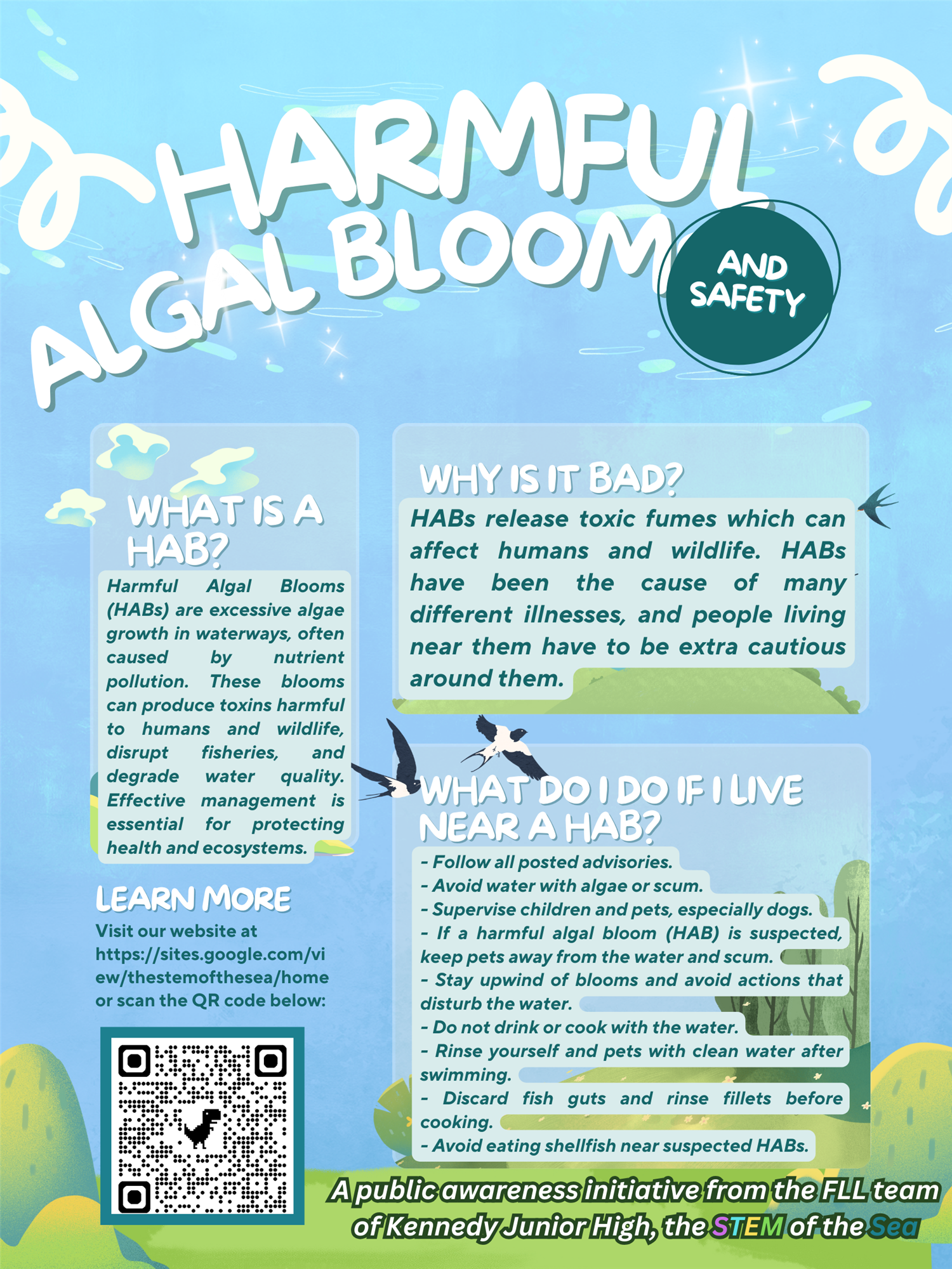 flyer 2